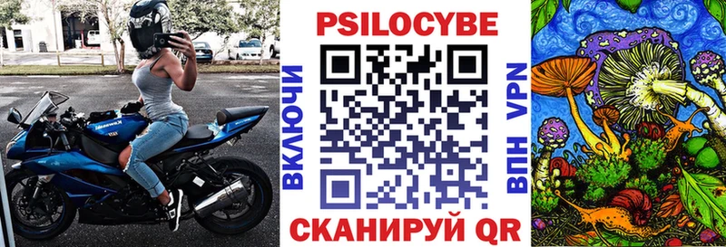МЕГА   Гай  Псилоцибиновые грибы Psilocybe  где купить наркоту 